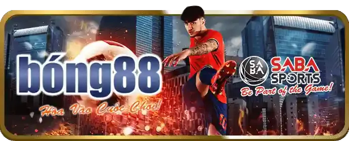 Đá gà 23vin login